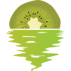 Kiwi Ocean