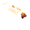 Hawaï