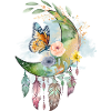 Mond Traumfänger Schmetterling Rosen, Zeichnung