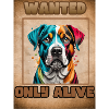 Wanted Dog
