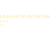 Labrador Retriever Definition