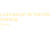 Labrador Retriever Owner Definition