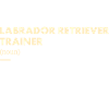 Labrador Retriever Trainer Definiton