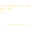 Labrador Retriever Trainer Definiton