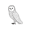 Owll GeomeTRIX