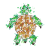 Turtlee GeomeTRIX bunt