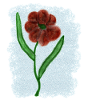 Rostrote Blume mit Grünen Blättern