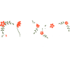 Bride 2023 floral