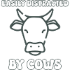 Easily distracted by cows