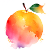 Apricot Splash
