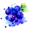 Blueberry Splash