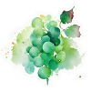Green Grapes Splash