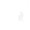 Chat Blanc Miao