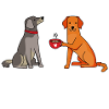 Wachhunde