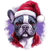 Noël Santa Frenchie