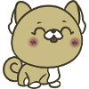 Cute puppy