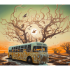 Omnibus