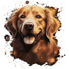 Golden Retriever Dog