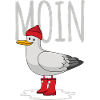 Moin Möwe