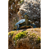 Gelbbauch-Slider Trachemys scripta scripta