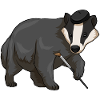 Honey Badger Painting Brush