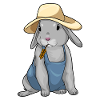 Rabbit Farmer Wheat Farm