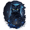 Mystical Black Cat in Space