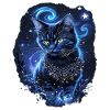 Enchanting black cat