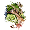 Komischer Vogel