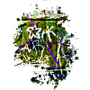 Graffiti