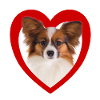 Dog Lovers - Dogs Heart - Papillon