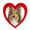Dog Lovers - Dogs Heart - Sheltie