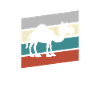 Rétro Dromadaire