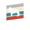 Lion Rétro