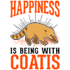 Coati Lucky Proboscis Coati