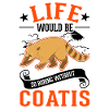 Coati Cadeau Proboscis Bear Coati