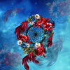 Wonderful dream catcher,