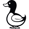 duck