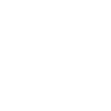 Pitbull