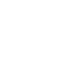 Pitbull