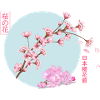 Cherry Blossom Branch