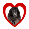 Dog Lovers - Dogs Heart - Greyhound