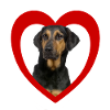 Dog lovers - Dogs Heart - Beauceron