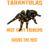 Tarantula Tarantula Tarantula Pet