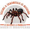 Tarantula Tarantula Tarantula Pet