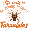 Tarantula Tarantula Tarantula Pet