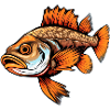 Zander Fish – Nature-loving fishing design
