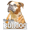 Olde English Bulldog