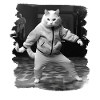 Katte Kat Kat Elsker Sjove Katte