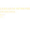 Labrador Retriever Grandma Definition